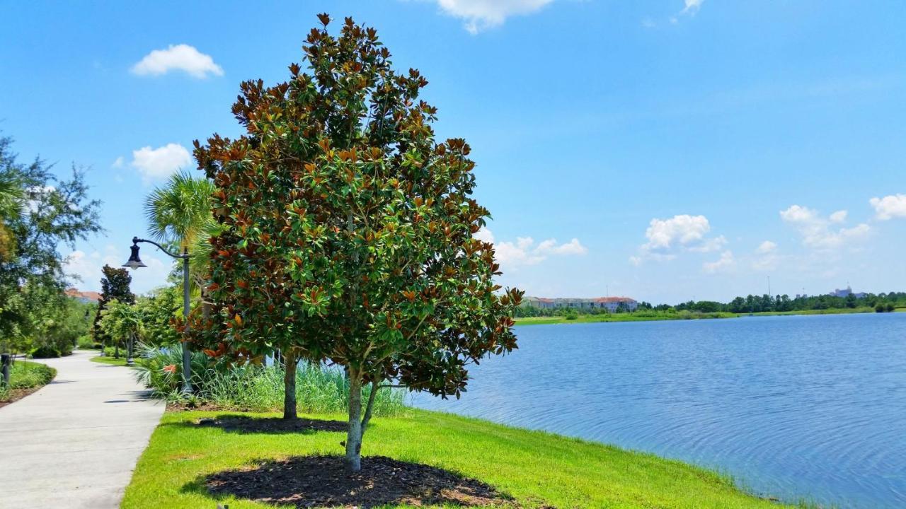 4814 Cayview Avenue #401 Leilighet Orlando Eksteriør bilde